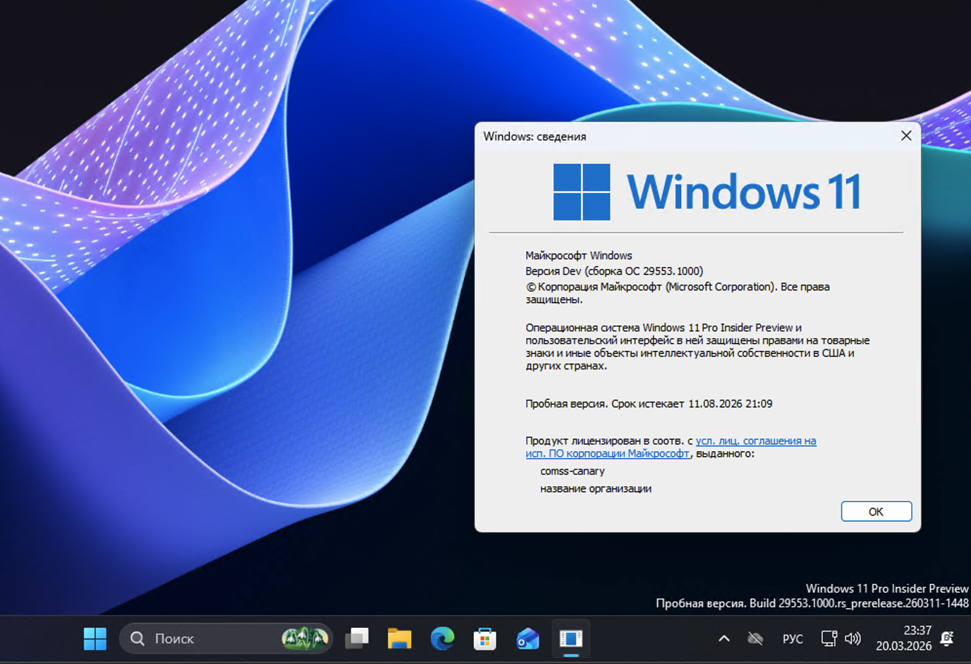 Windows 11, ������ Dev (������ �� 29553.1000)